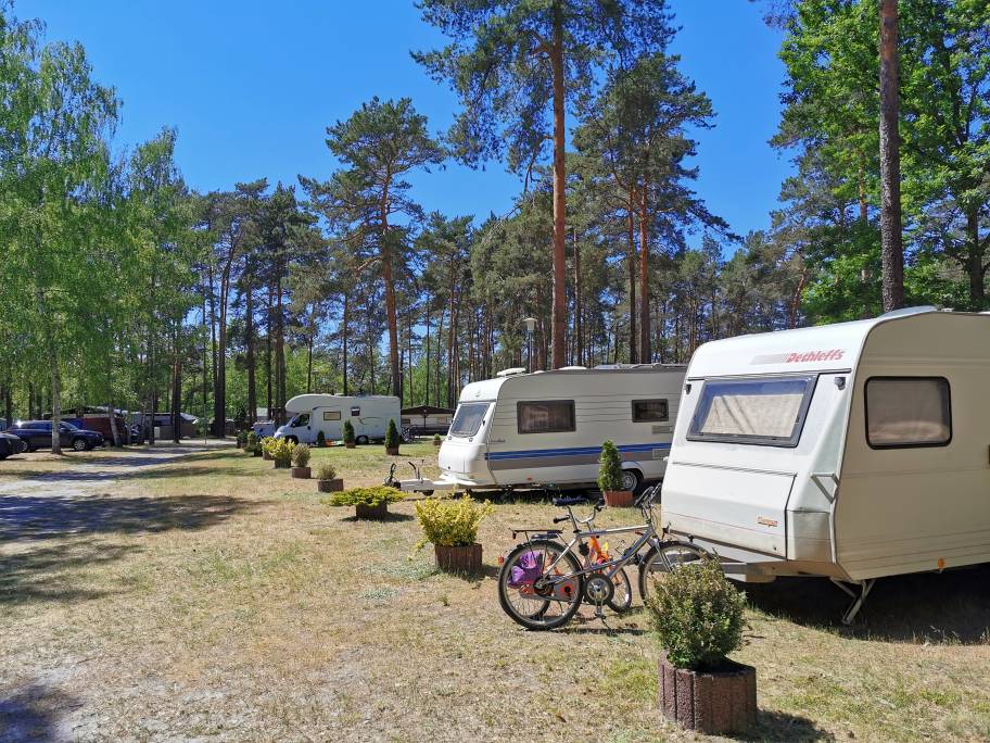 Camping bei Cottbus am Großsee – Stellplätze im Wald